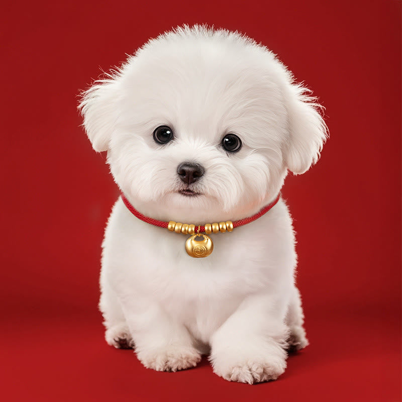 Red String Bead Protection Adjustable Cats Small Dogs Pet Collar