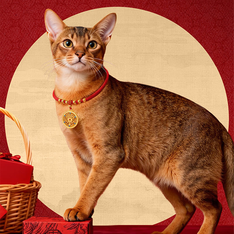 Red String Bead Compass Gourd Protection Adjustable Cats Dogs Pet Collar