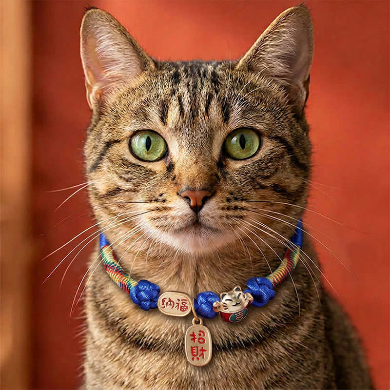 Red String Plaited Auspicious Fu Character Protection Adjustable Cats Pet Collar