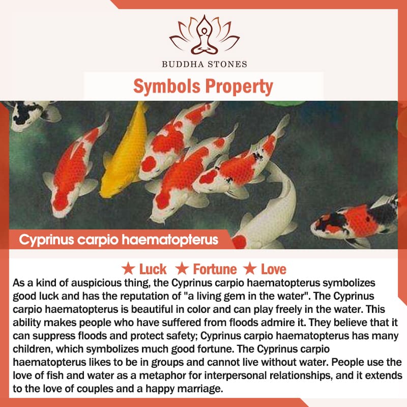 Silver Luck Koi Fish Braided String Bracelet